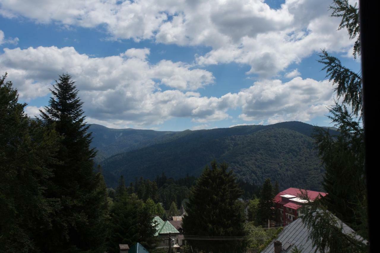 Pensiunea Carmen'S Mansion B Sinaia Exterior photo
